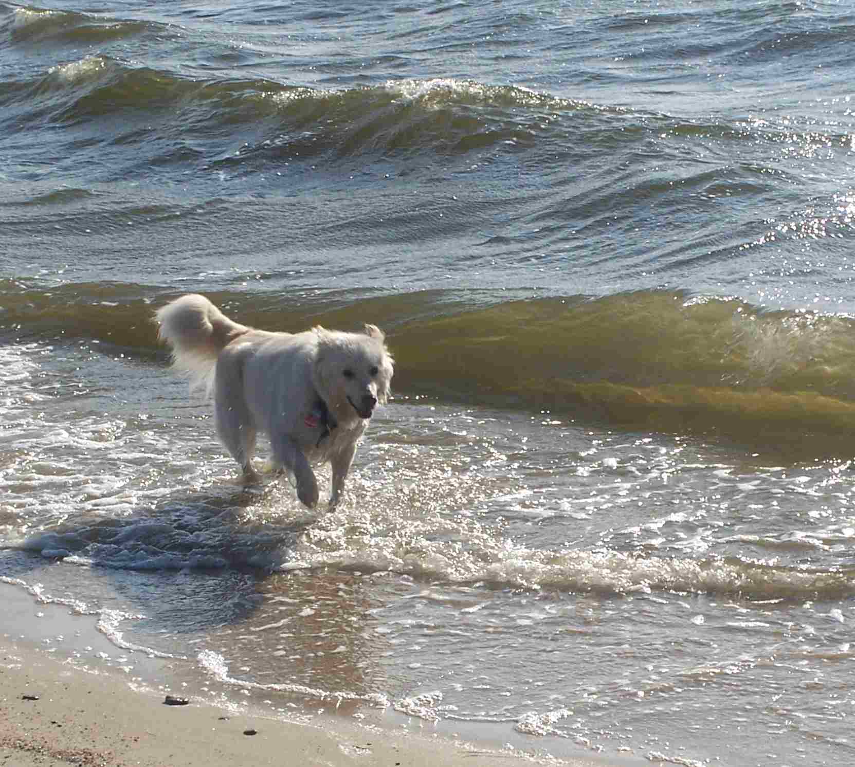 Ich am Ostseestrand